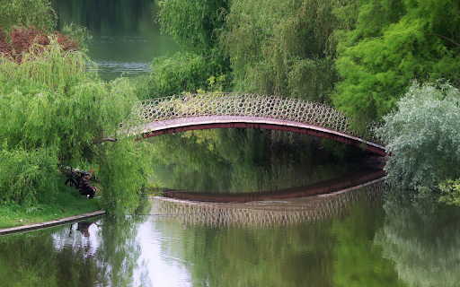 Under the shadow of the bridge  from Chrome web store to be run with OffiDocs Chromium online