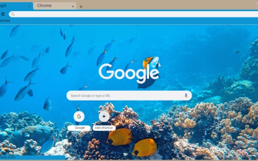 Underwater Coral Reef  from Chrome web store to be run with OffiDocs Chromium online
