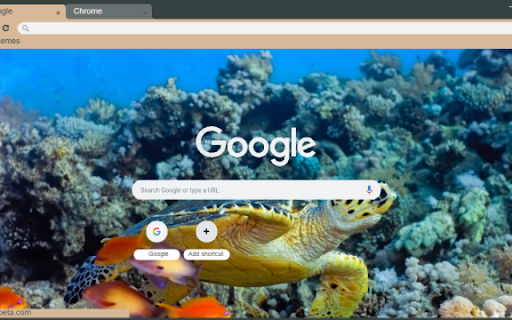Underwater Sea Turtles  from Chrome web store to be run with OffiDocs Chromium online