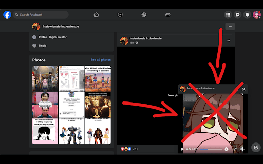 Un PIP for Facebook  from Chrome web store to be run with OffiDocs Chromium online