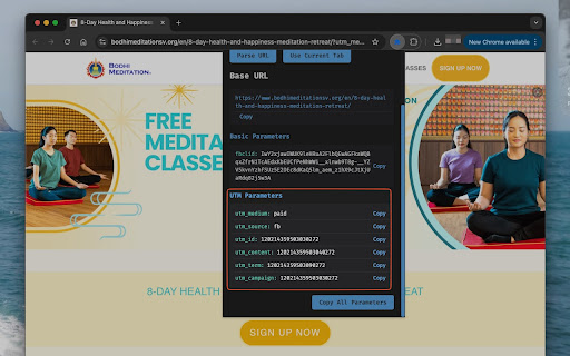 URL Parameter Visualizer  from Chrome web store to be run with OffiDocs Chromium online