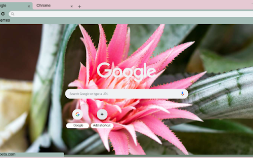Urn Plant  from Chrome web store to be run with OffiDocs Chromium online