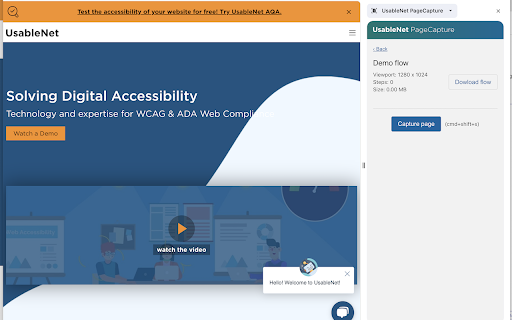 UsableNet PageCapture  from Chrome web store to be run with OffiDocs Chromium online