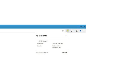 User DNS Details  from Chrome web store to be run with OffiDocs Chromium online