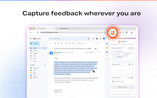 UserVoice Feedback Capture  from Chrome web store to be run with OffiDocs Chromium online