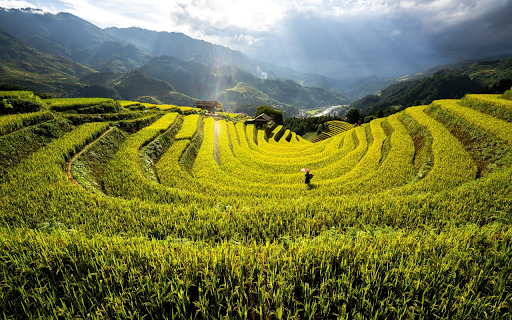 U shaped terraced fields  from Chrome web store to be run with OffiDocs Chromium online