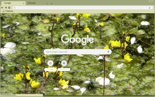 Utricularia  from Chrome web store to be run with OffiDocs Chromium online