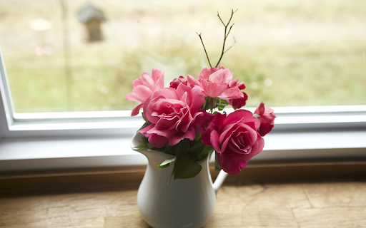 Vase of garden roses  from Chrome web store to be run with OffiDocs Chromium online
