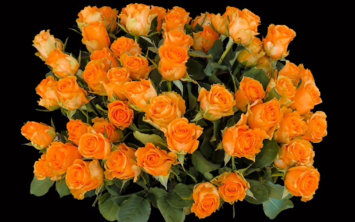 Vase of yellow rose  from Chrome web store to be run with OffiDocs Chromium online