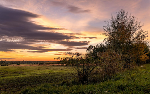 Vast Field  from Chrome web store to be run with OffiDocs Chromium online