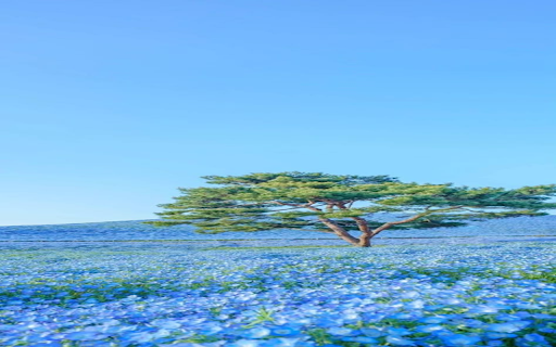 Vast grassland wallpaper  from Chrome web store to be run with OffiDocs Chromium online