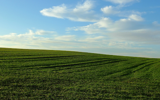 Vast green fields  from Chrome web store to be run with OffiDocs Chromium online