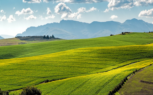 Vast green rice fields  from Chrome web store to be run with OffiDocs Chromium online
