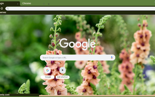 Verbascum  from Chrome web store to be run with OffiDocs Chromium online