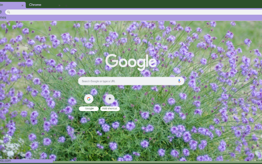 Verbena  from Chrome web store to be run with OffiDocs Chromium online