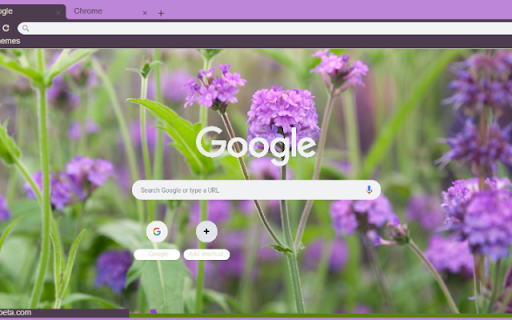 Verbena Rigida  from Chrome web store to be run with OffiDocs Chromium online