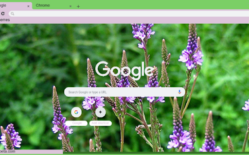 Vervain  from Chrome web store to be run with OffiDocs Chromium online