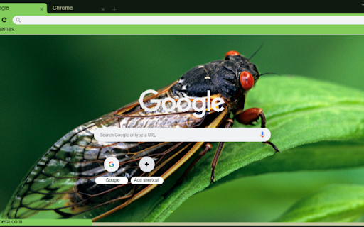 Ve Sau  from Chrome web store to be run with OffiDocs Chromium online
