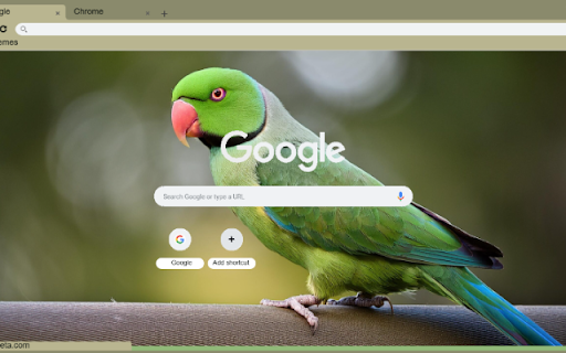 Vet  from Chrome web store to be run with OffiDocs Chromium online