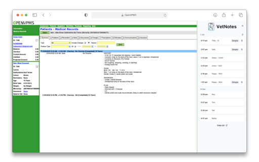 VetNotes AI Scribe for Veterinarians  from Chrome web store to be run with OffiDocs Chromium online