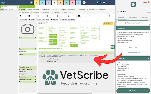 VetScribe Extension  from Chrome web store to be run with OffiDocs Chromium online