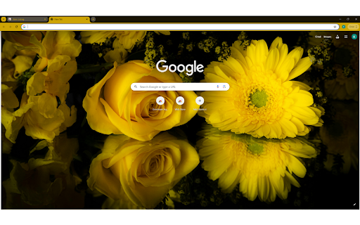 vibrant array of yellow flowers in full bloom  from Chrome web store to be run with OffiDocs Chromium online