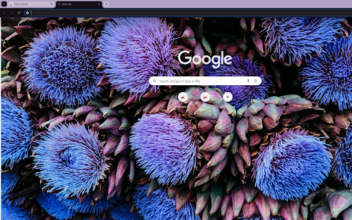 vibrant artichoke flower in full bloom  from Chrome web store to be run with OffiDocs Chromium online