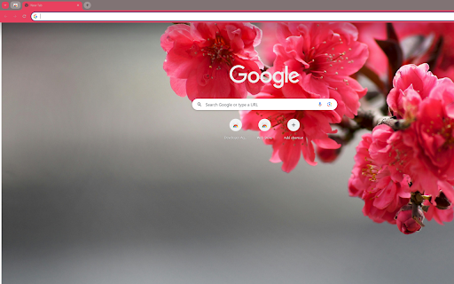 vibrant branch of red cherry blossoms  from Chrome web store to be run with OffiDocs Chromium online