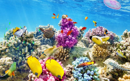 Vibrant Coral Reef  from Chrome web store to be run with OffiDocs Chromium online