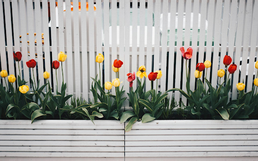 Vibrant Tulip Garden  from Chrome web store to be run with OffiDocs Chromium online