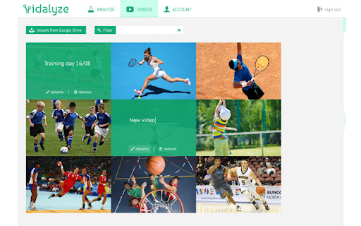 Vidalyze  from Chrome web store to be run with OffiDocs Chromium online