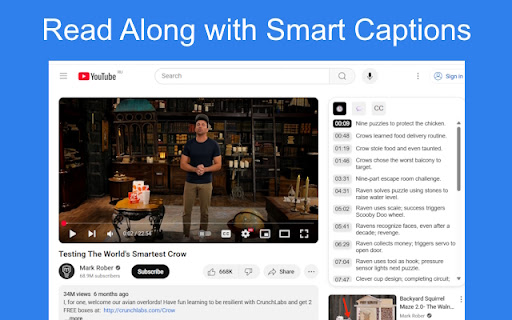 VideoBrain: Discover What Every YouTube Video Is Really About  from Chrome web store to be run with OffiDocs Chromium online