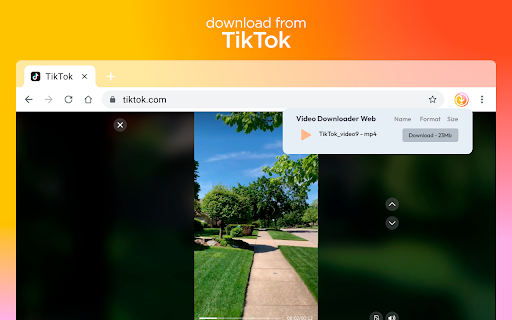 Video Downloader Web  from Chrome web store to be run with OffiDocs Chromium online