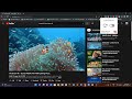 OffiDocs Chromium çevrimiçi ile çalıştırılacak Chrome web mağazasından Video Enhancer Color Grading