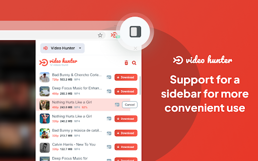 Video Hunter Downloader  from Chrome web store to be run with OffiDocs Chromium online