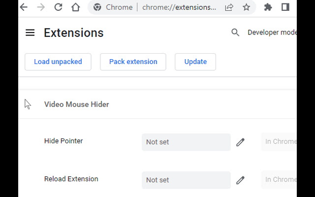 Video Mouse Hider  from Chrome web store to be run with OffiDocs Chromium online