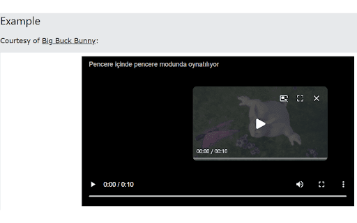 Video PiP Shortcut  from Chrome web store to be run with OffiDocs Chromium online