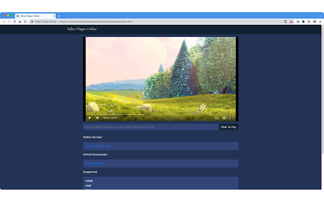 Video Player Online  from Chrome web store to be run with OffiDocs Chromium online
