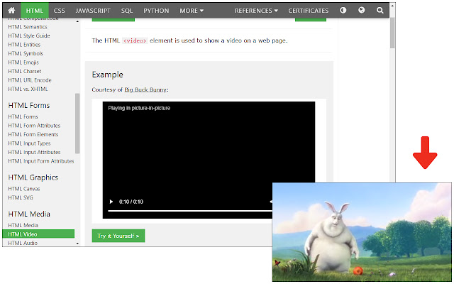 Video Popout  from Chrome web store to be run with OffiDocs Chromium online