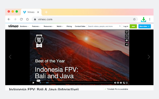 VidMad Video Downloader  from Chrome web store to be run with OffiDocs Chromium online