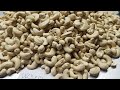 Vietnam Cashew Nut, BSF Exporter Kimmy Farm  from Chrome web store to be run with OffiDocs Chromium online