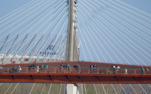 Viewing the bridge  from Chrome web store to be run with OffiDocs Chromium online
