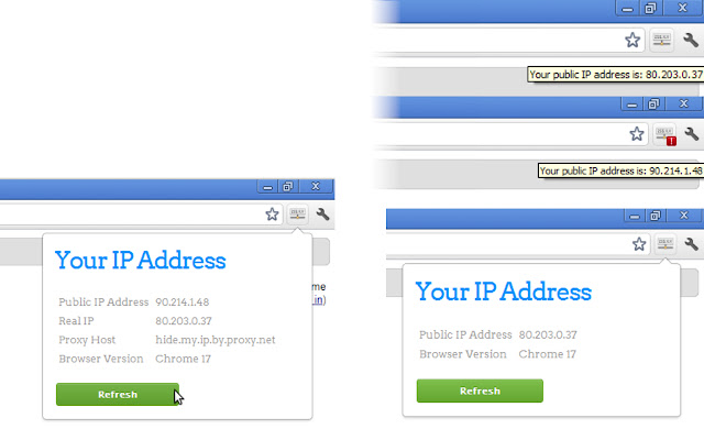 View IP address  from Chrome web store to be run with OffiDocs Chromium online