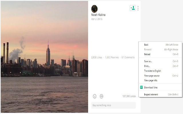 Vine Downloader  from Chrome web store to be run with OffiDocs Chromium online
