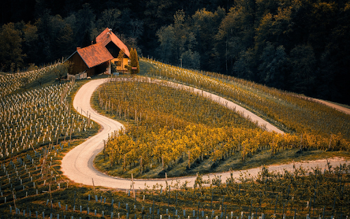 Vineyard Pathway  from Chrome web store to be run with OffiDocs Chromium online