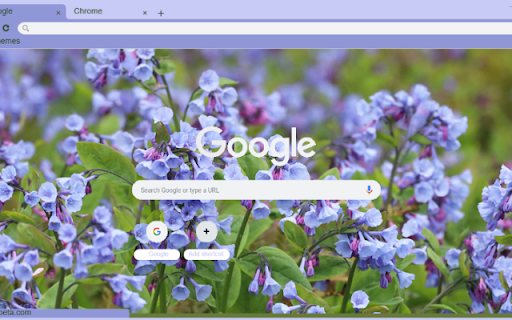 Virginia Bluebells  from Chrome web store to be run with OffiDocs Chromium online