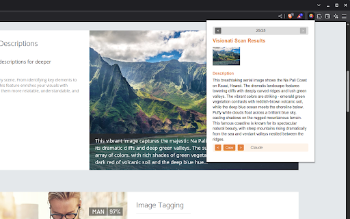 Visionati Image Scanner  from Chrome web store to be run with OffiDocs Chromium online