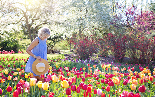 Visit spring garden  from Chrome web store to be run with OffiDocs Chromium online