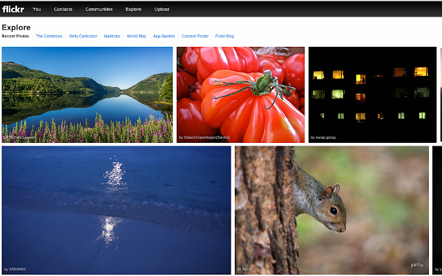 Visual Search  from Chrome web store to be run with OffiDocs Chromium online