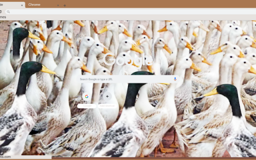 Vit  from Chrome web store to be run with OffiDocs Chromium online